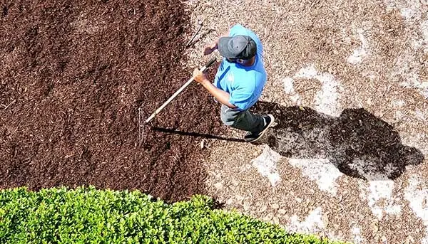 man mulching a garden using his rake