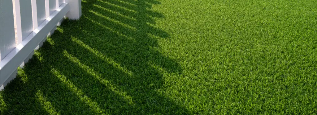 Photo of Artificial Turf Installation in Zelienople, PA