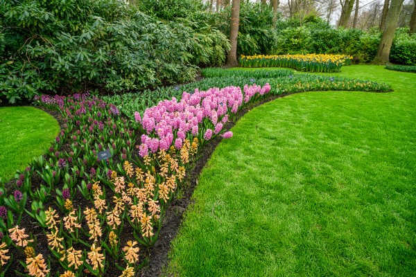 Colorful garden landscape and grassy lawn