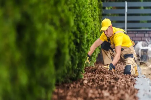 gardener in yellow shirt and cap