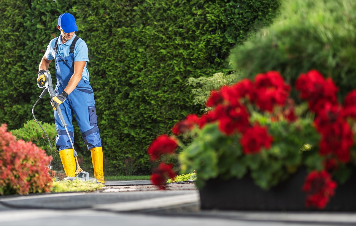 Worker in blue overalls pressure washing a paved driveway beside red geraniums