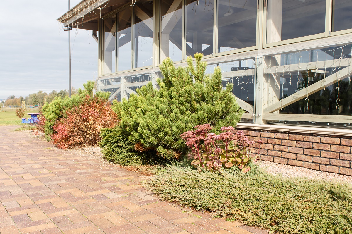 Low maintenance shrub and juniper beds along a paver walkway at a commercial building