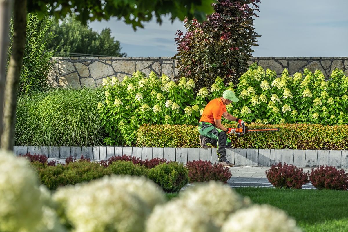 Landscaper in an orange shirt trimming a hedge with a power hedge trimmer