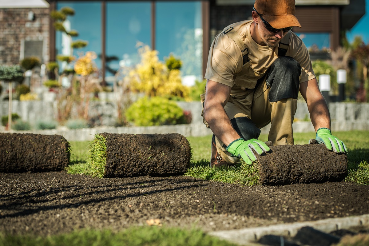 Landscaper in work gear unrolling sod over prepared soil