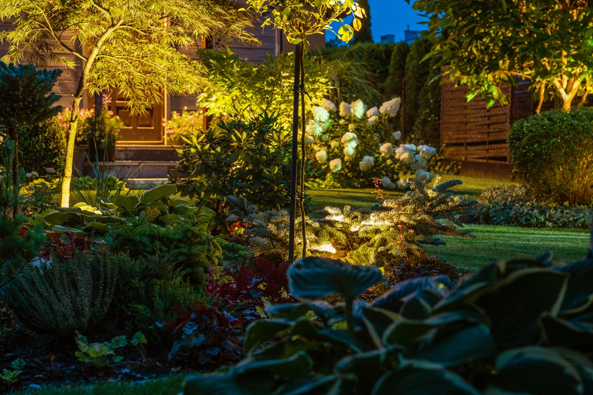 Garden beds and trees uplit at night by low-voltage landscape lighting