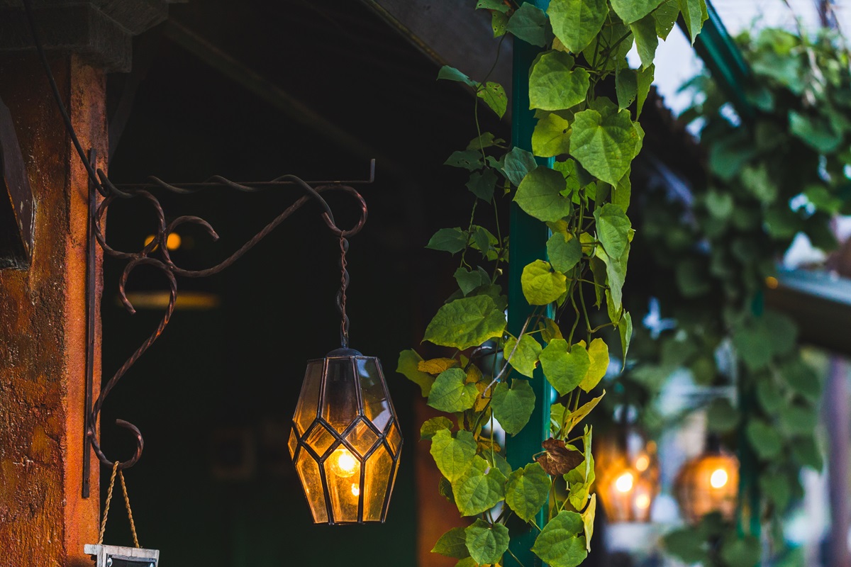 Hanging glass lantern on a wrought iron bracket beside climbing vines