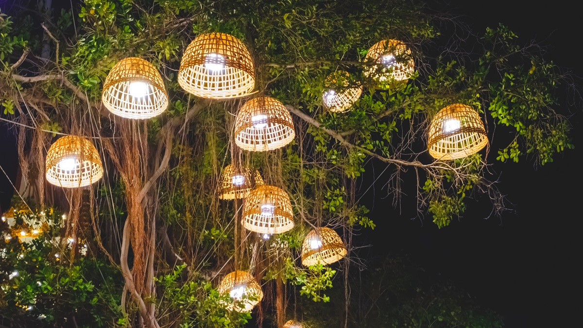 Cluster of woven rattan pendant lights hanging from tree branches at night