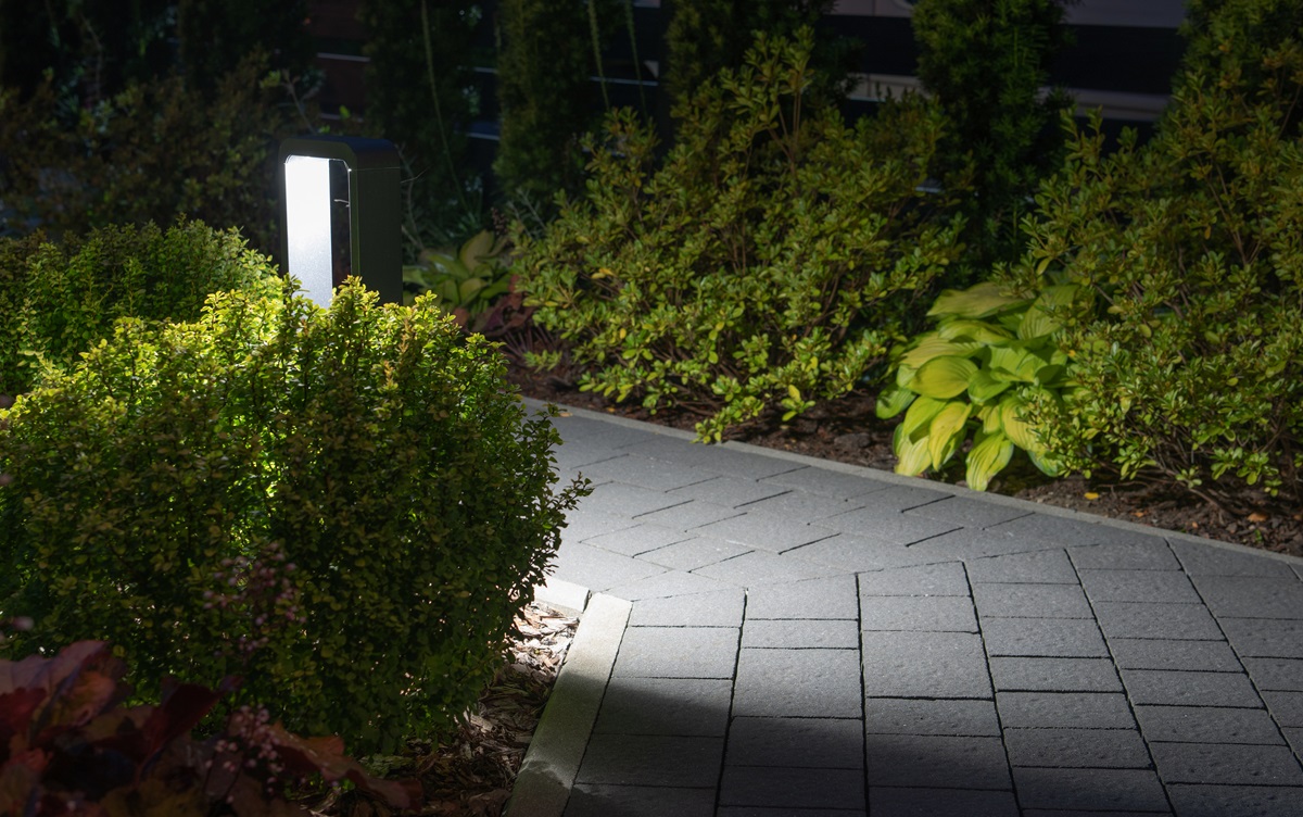 Bollard light illuminating a paver walkway edged with clipped shrubs and hostas