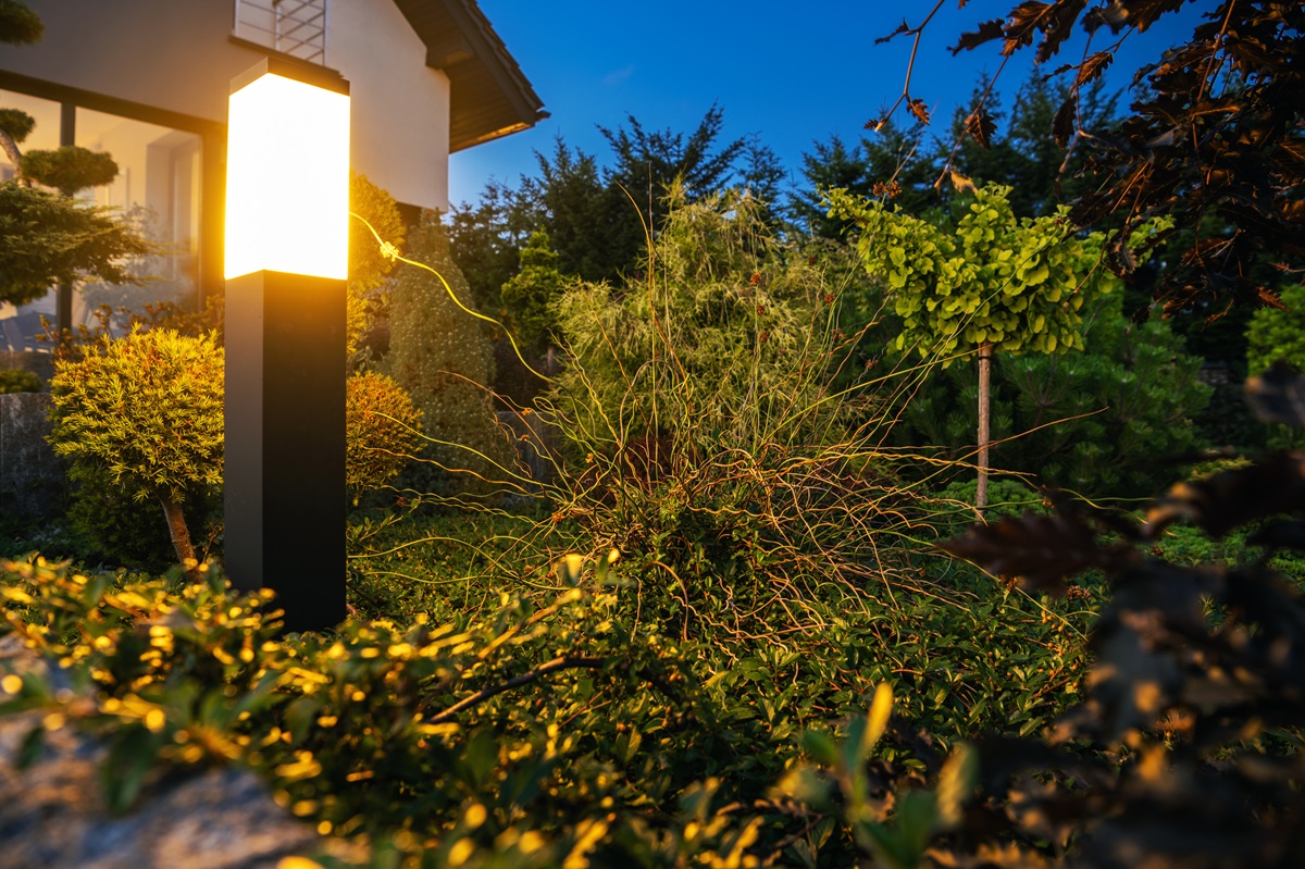 Modern black bollard light glowing beside shrubs and ornamental grasses at dusk