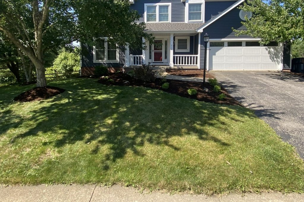 Front yard with a healthy cut lawn, fresh mulch beds and a clean driveway edge maintained by Daily Landscaping