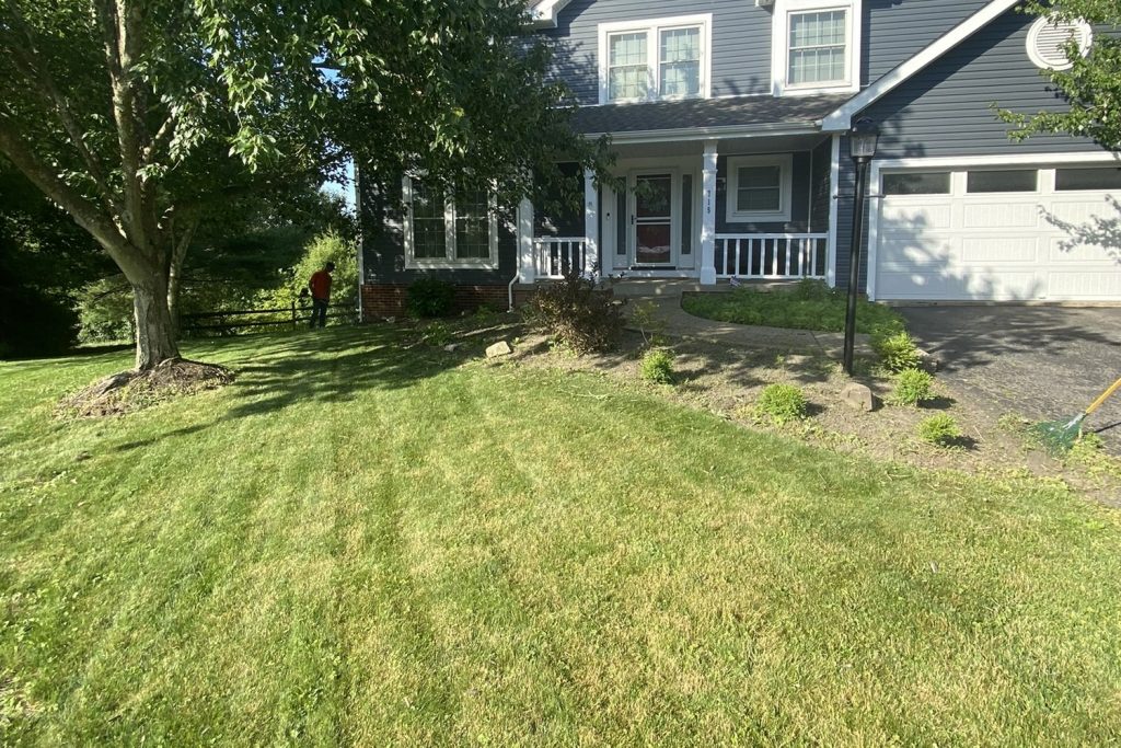 Daily Landscaping crew member trimming beside a freshly mowed front lawn with visible cut lines in Zelienople, PA