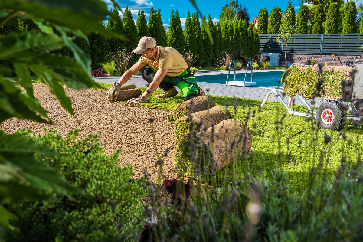 Landscaper laying rolls of sod over prepared soil beside a swimming pool