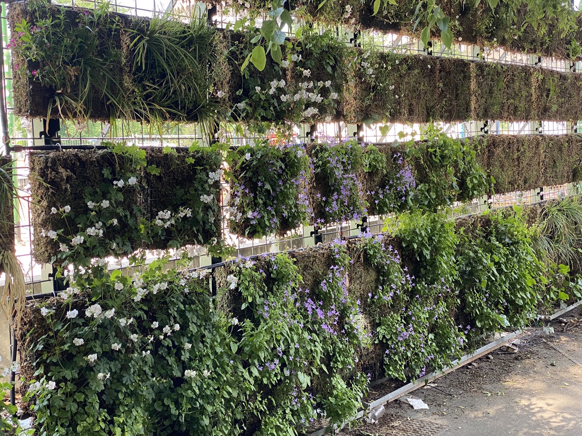 Vertical living wall panels of trailing flowers and greenery on a metal frame