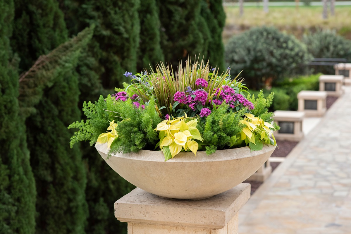 Large stone bowl planter on a pedestal filled with pink and yellow annuals