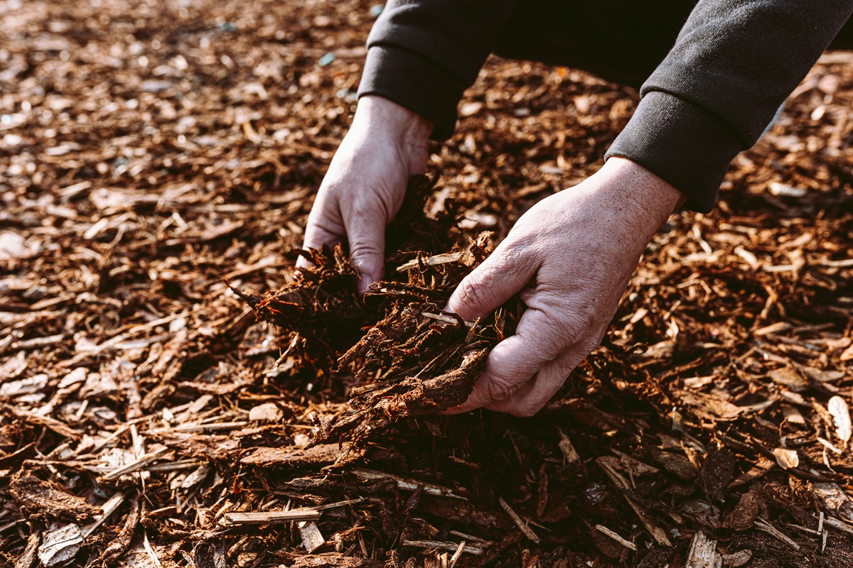 Hands scooping up a handful of shredded bark mulch