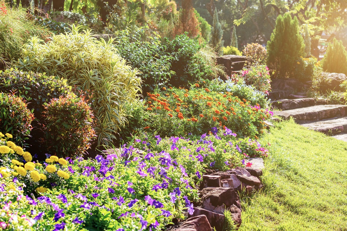 Sloped flower bed of marigolds, petunias and shrubs edged with stone
