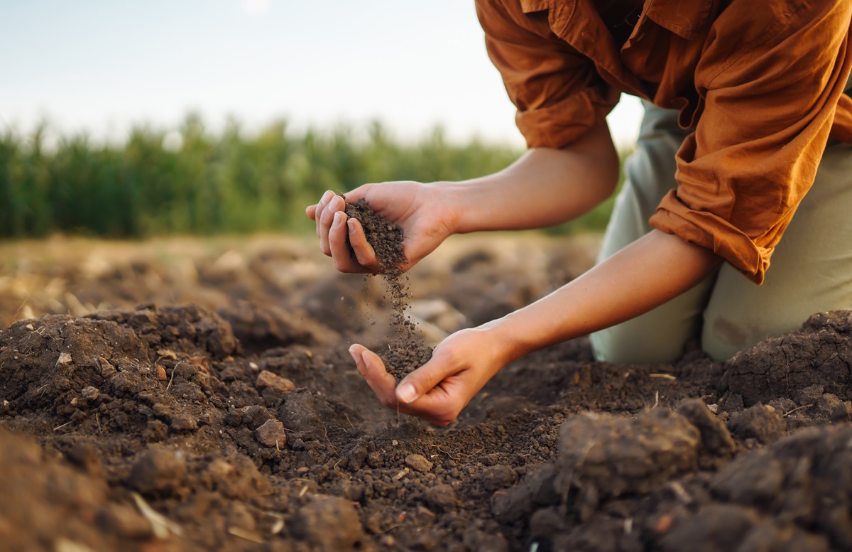 Hands crumbling dark topsoil over a freshly tilled field