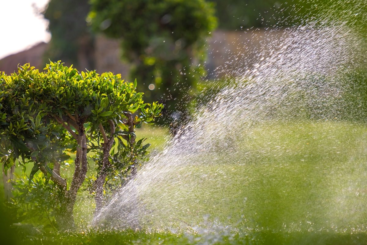 Irrigation sprinkler spraying an arc of water across grass beside a clipped shrub