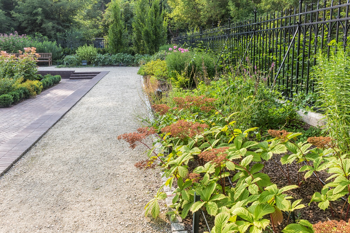Gravel path beside a mixed perennial border and a black iron fence