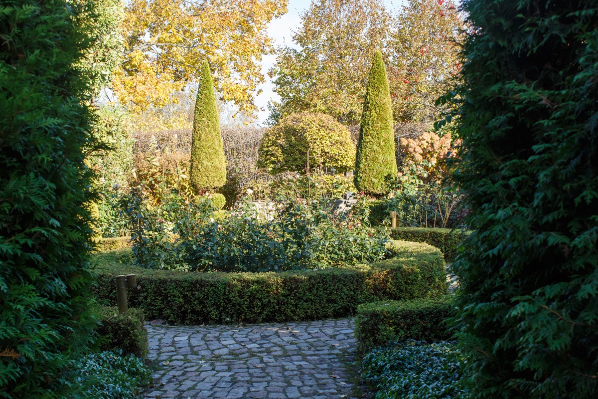 Formal garden with clipped boxwood hedges, conical topiary and a cobblestone path