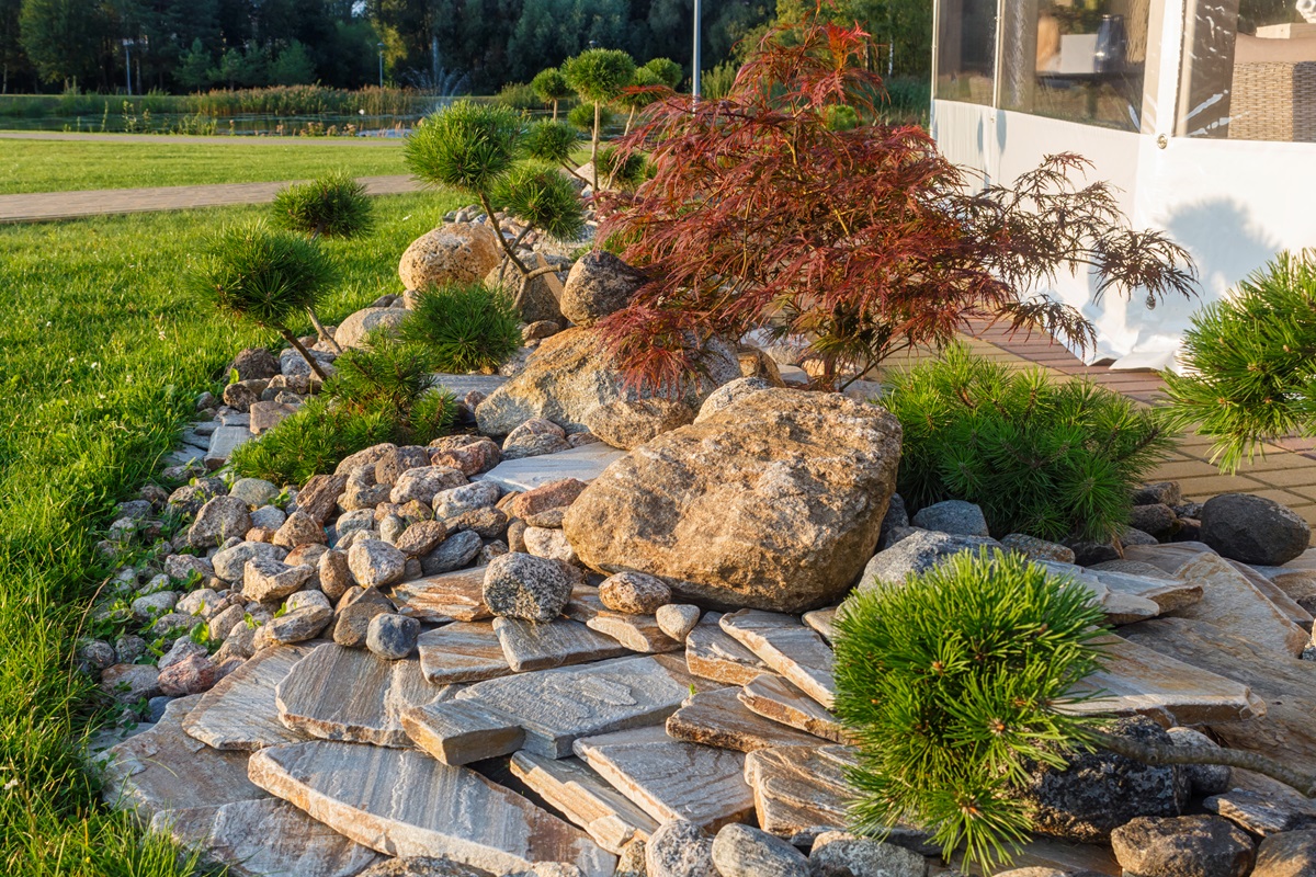 Rock garden with flagstone, boulders, a Japanese maple and mugo pines beside a lawn