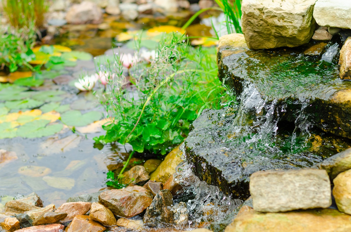 Small pond waterfall running over mossy rock beside water lilies