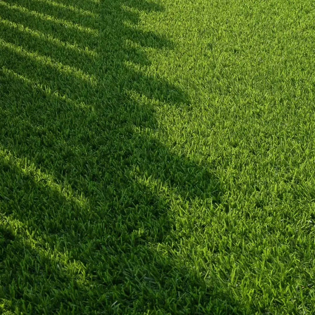 Photo of Artificial Turf Installation in Zelienople, PA