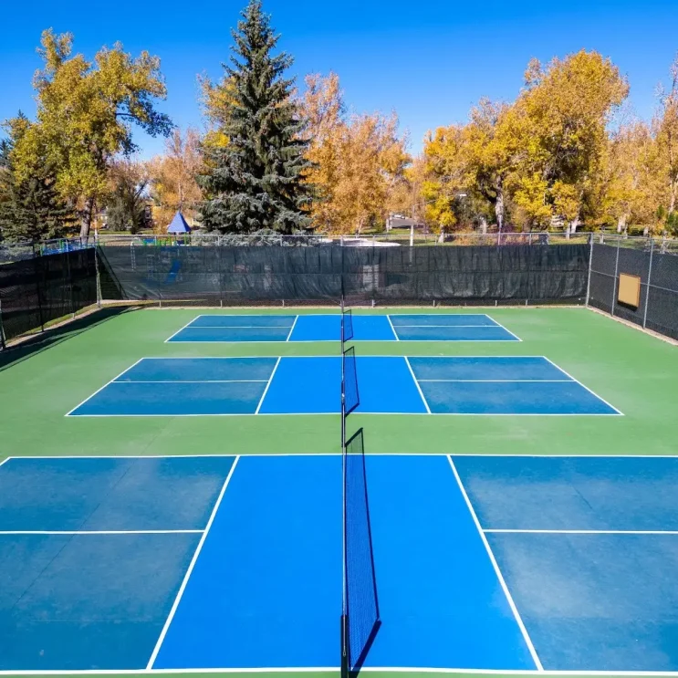 Pickleball Court Design & Installation in Zelienople (1)