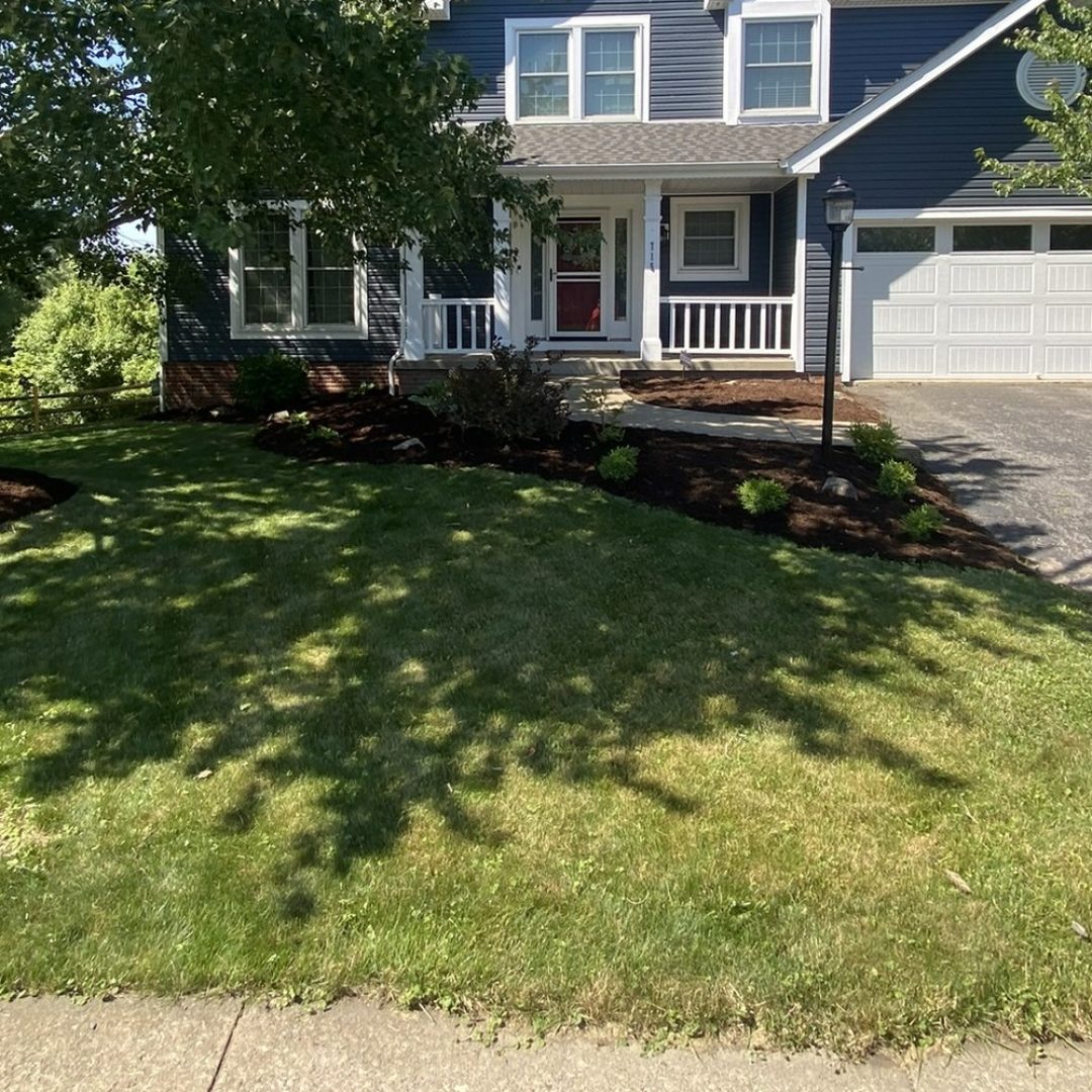 Front yard with a healthy cut lawn, fresh mulch beds and a clean driveway edge maintained by Daily Landscaping